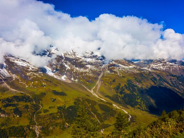 Unforgettable Day Trips from Vienna to Explore Austria's Beauty